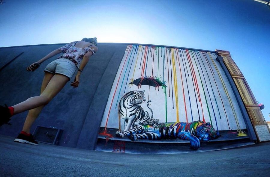 12963605_930511473737261_5669919262688332430_n