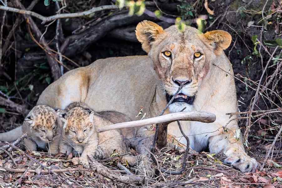 IMG_20181205_220030_584