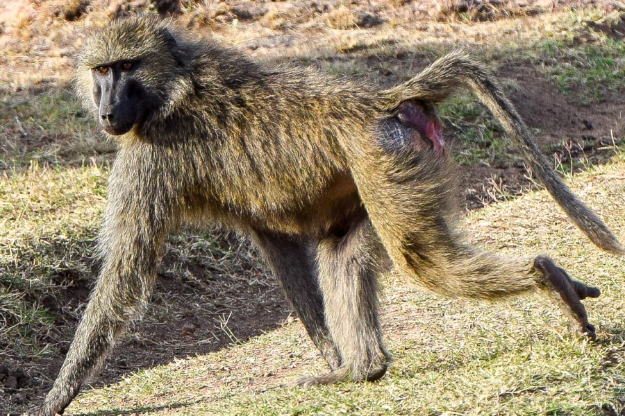 LRM_EXPORT_60816481713961_20181205_163729317