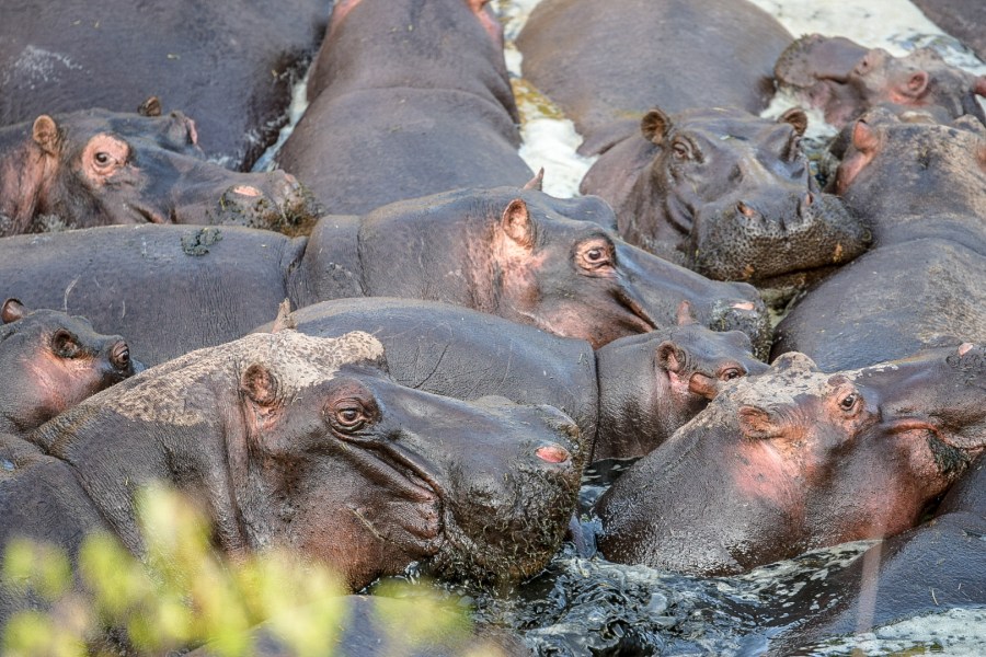 LRM_EXPORT_60868679858424_20181205_163821515