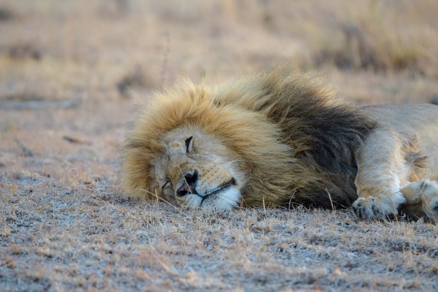 LRM_EXPORT_61149743027569_20181205_164412307